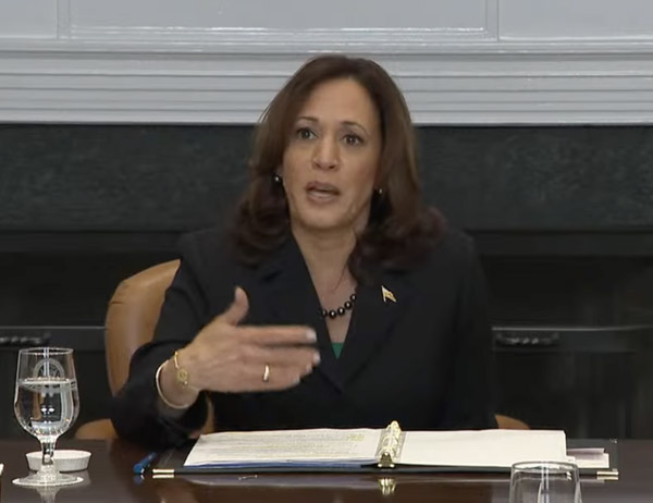 Vice President Kamala Harris Making Statement