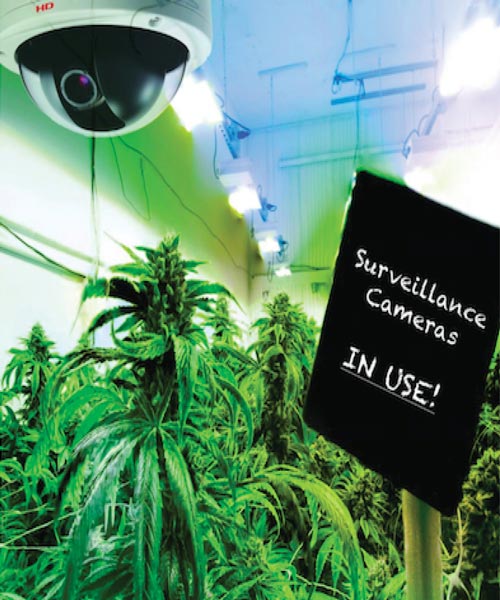 Setronics Cannabis Security