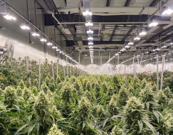 Surna Grow Facility