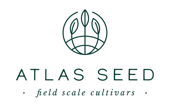 Atlas Seed